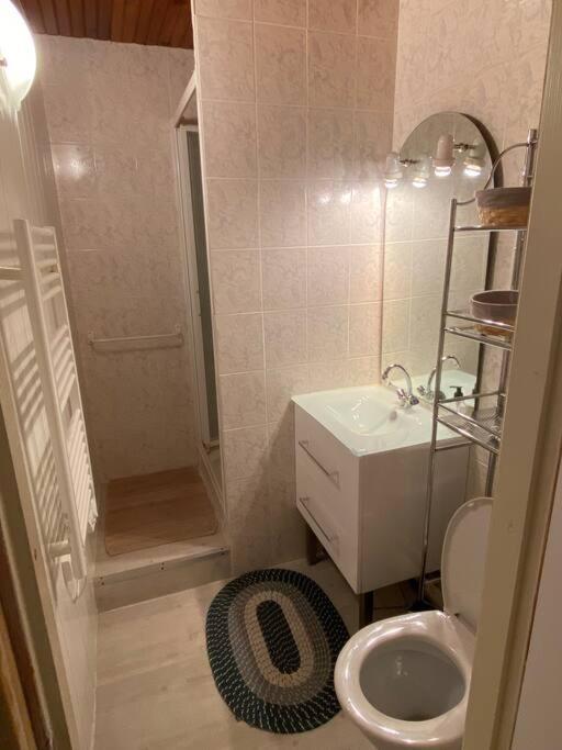 Appartement 4P Eaux-Bonnes Dış mekan fotoğraf